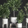 3DSky - Plant Collection 560 - Image 2