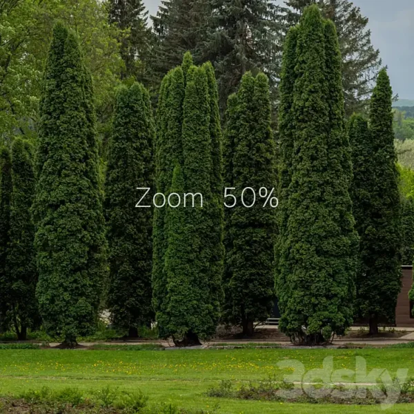 3DSky Panorama from the park 30k - Image 5