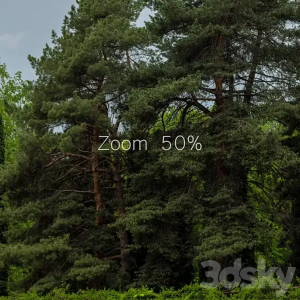 3DSky Panorama from the park 30k - Image 4
