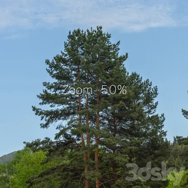 3DSky Panorama from the park 30k - Image 2