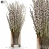 3DSky - Dry Flowers 5 Lavender