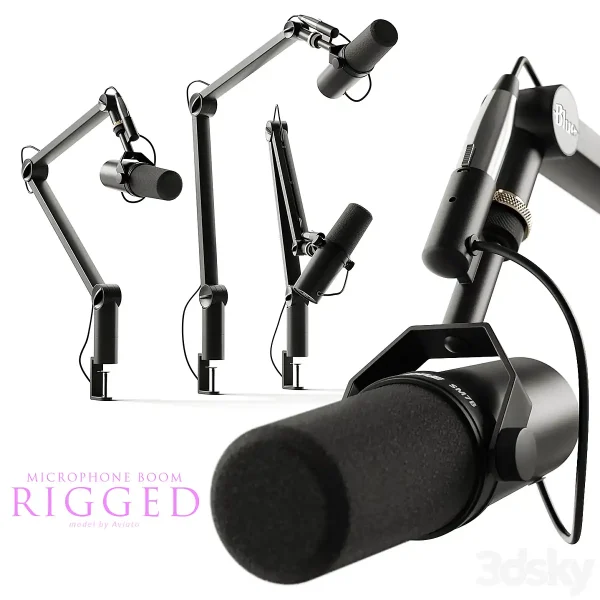 3DSky - Microphone Shure & Boom Arm Blue