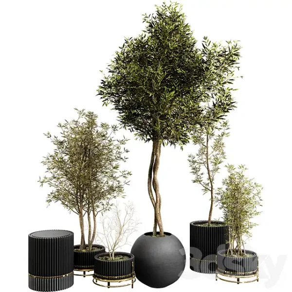 3DSky - Plant Collection Set 03
