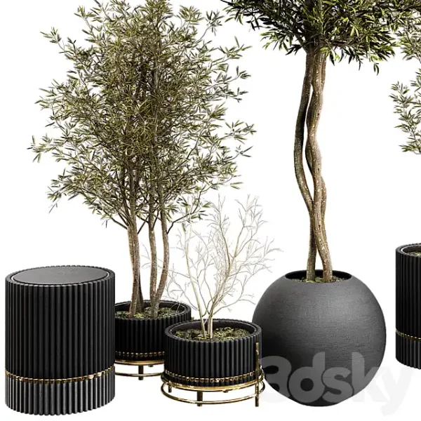 3DSky - Plant Collection Set 03 - Image 2