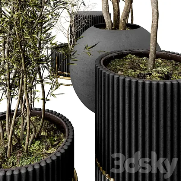 3DSky - Plant Collection Set 03 - Image 3