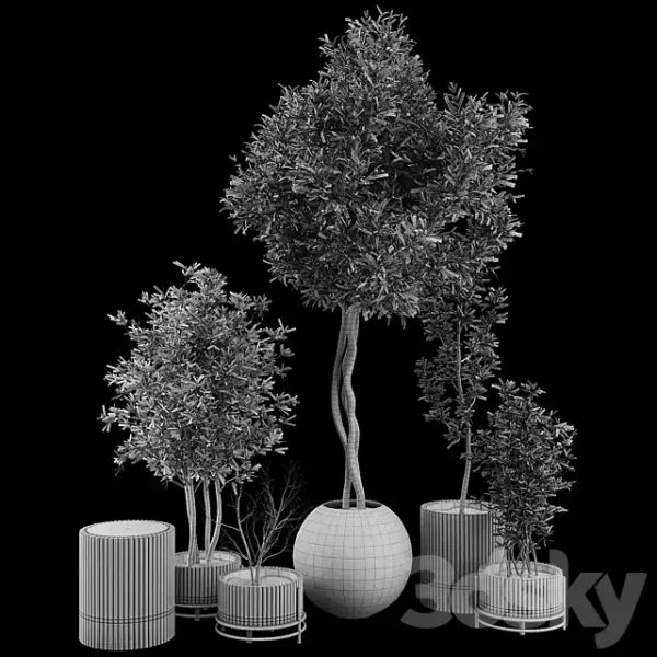 3DSky - Plant Collection Set 03 - Image 4