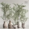 3DSky - Indoor Plant Set 79