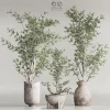 3DSky - Indoor Plant Set 79 - Image 2