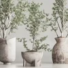 3DSky - Indoor Plant Set 79 - Image 3