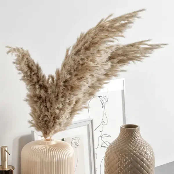 3DSky - Decorative Set with Dried Flowers 02 - Image 4