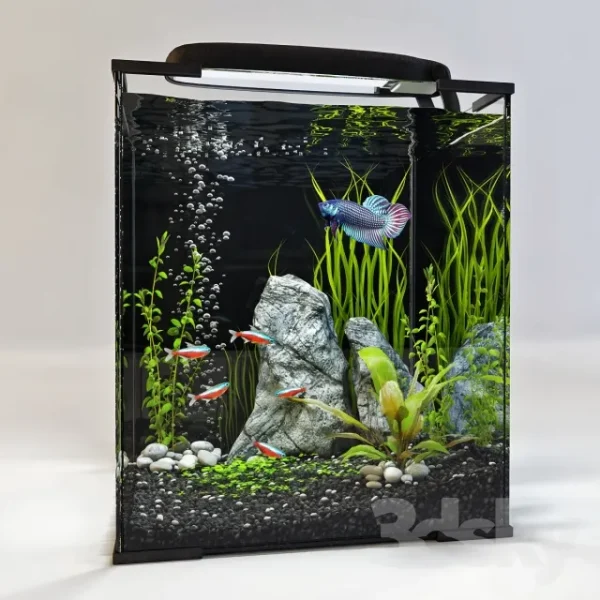 3DSky - Aquarium 2
