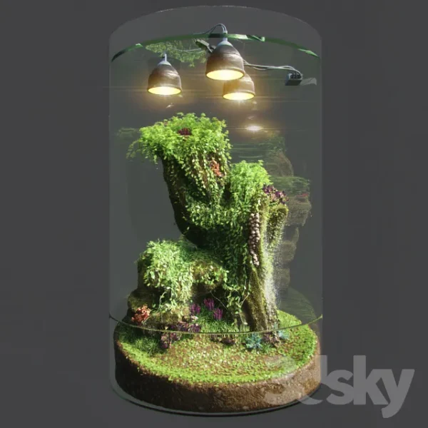 3DSky - Dwarf Florarium