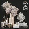 3DSky - Dry Flower and Coral Decoration Set 07