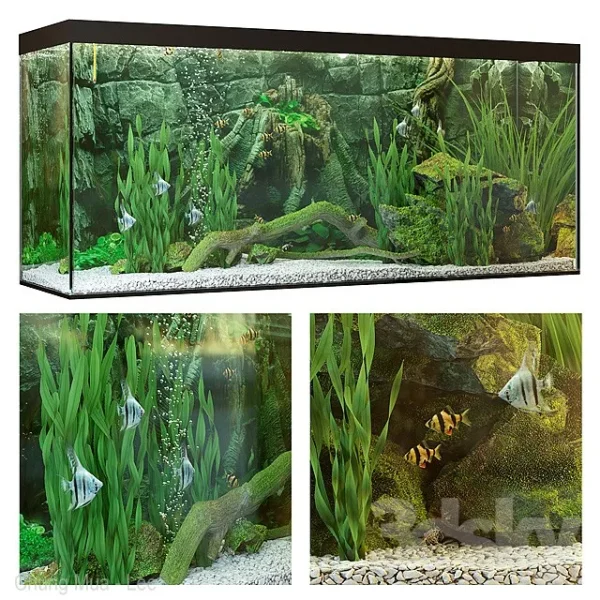 3DSky - Aquarium 4