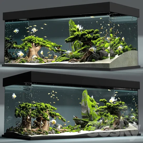 3DSky - Aquarium Snail King - Image 2