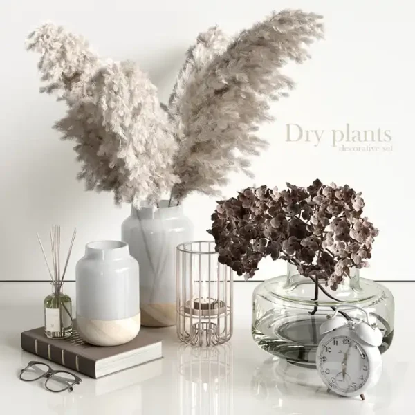 3DSky - Decorative Set with Dry Plants 4