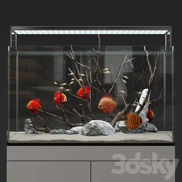 3DSky - Aquarium Discus Fish - Image 2