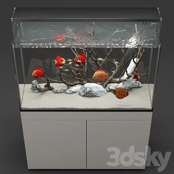 3DSky - Aquarium Discus Fish - Image 3