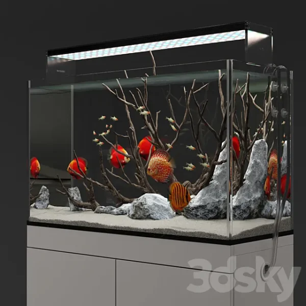 3DSky - Aquarium Discus Fish