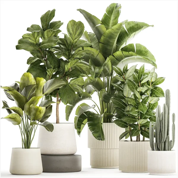 3DSky - Collection of Plants in Modern White Pots