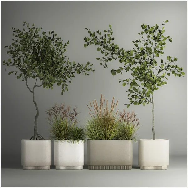 3DSky - A Set of Plants with Trees for the Street and Interior