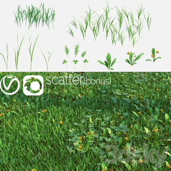 3DSky - Set for the Creation of Field Grass and Lawns