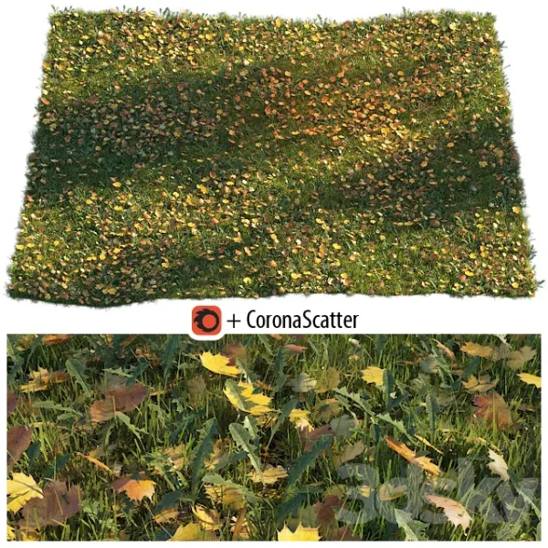 3DSky - Lawn with Dry Maple Leaves