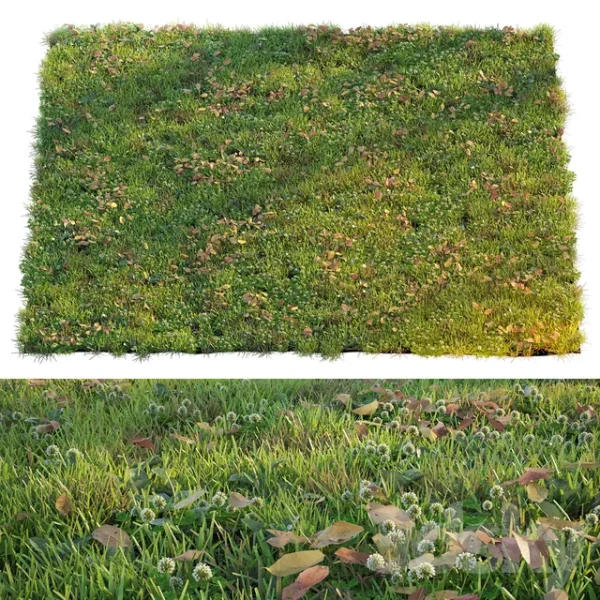 3DSky - Lawn with Clover and Dry Leaves