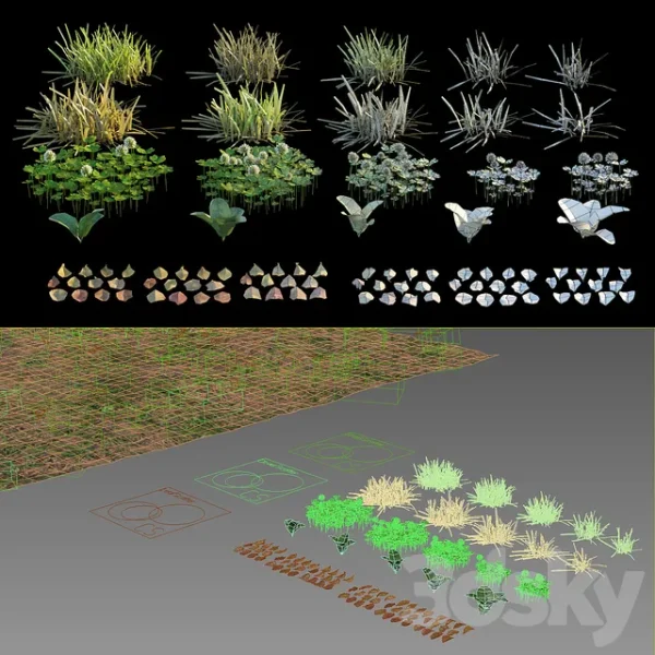 3DSky - Lawn with Clover and Dry Leaves - Image 3