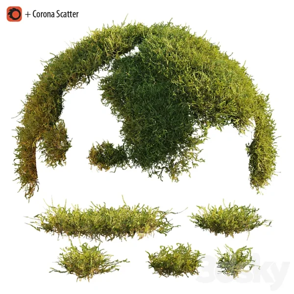 3DSky - Forest Moss