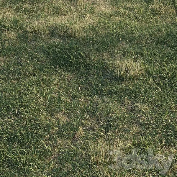3DSky - Spring Meadow Grass