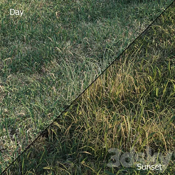 3DSky - Spring Meadow Grass - Image 2