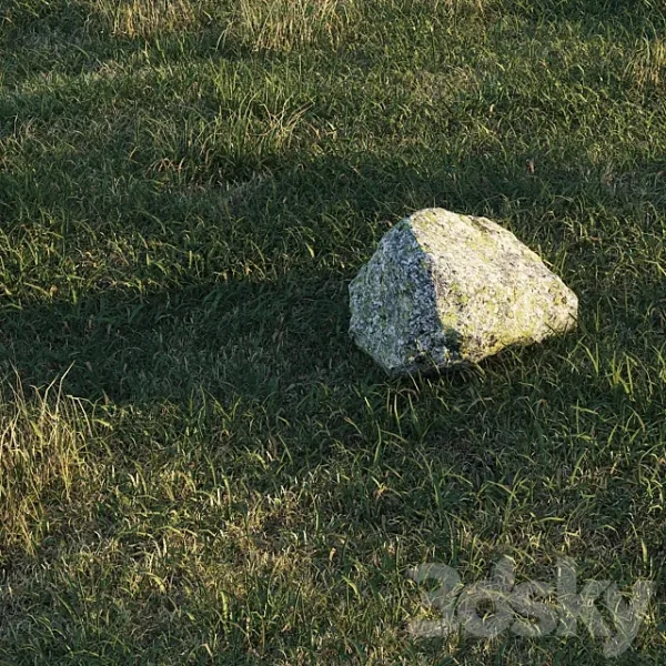 3DSky - Spring Meadow Grass - Image 3
