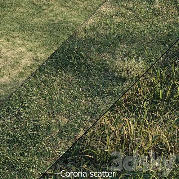 3DSky - Spring Meadow Grass - Image 4