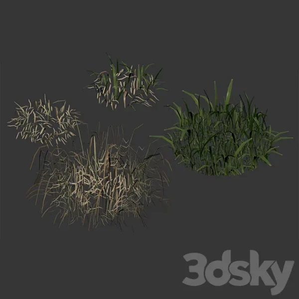 3DSky - Spring Meadow Grass - Image 5