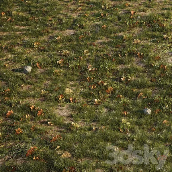 3DSky - House Grass or Lawns
