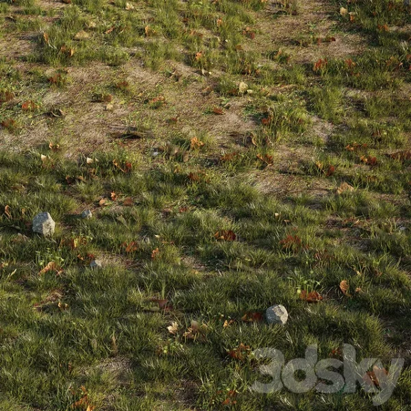 3DSky - House Grass or Lawns - Image 2