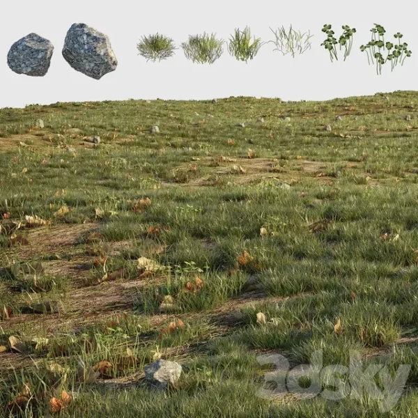 3DSky - House Grass or Lawns - Image 3