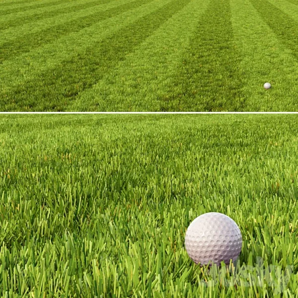 3DSky - Mowed Lawn 1