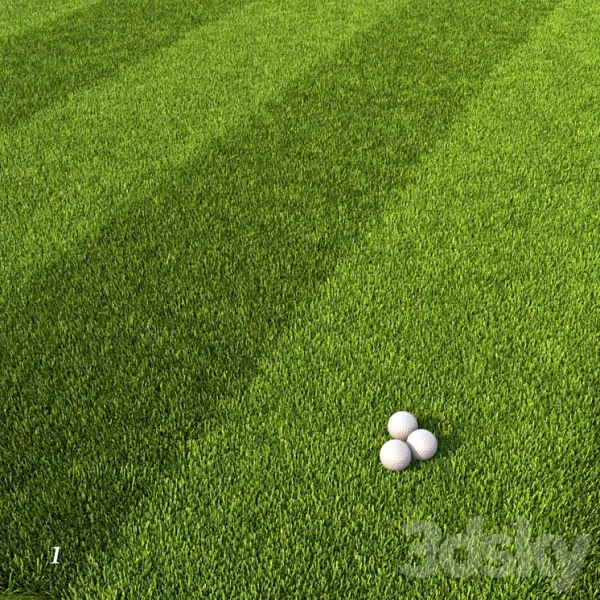 3DSky - Mowed Lawn 1 - Image 2