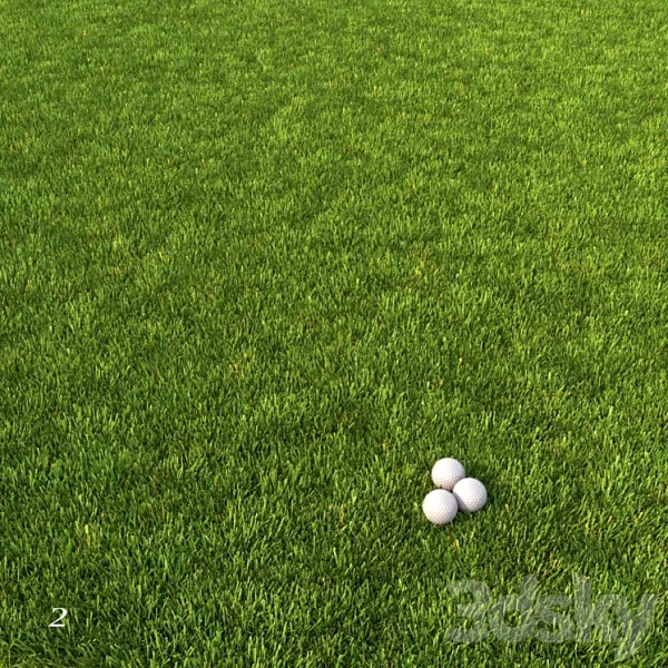3DSky - Mowed Lawn 1 - Image 3