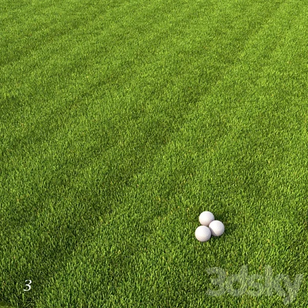 3DSky - Mowed Lawn 1 - Image 4