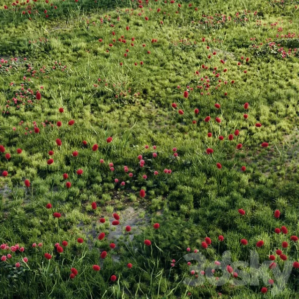 3DSky - Meadow Grass 2 - Image 3