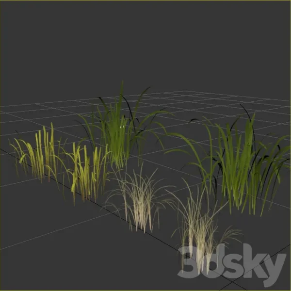 3DSky - Uncut Forest Grass Collection 03 - Image 4