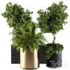 3DSky - Indoor Plant Set 90 Black and Gold