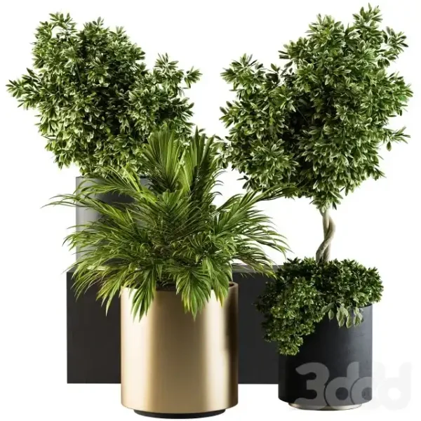 3DSky - Indoor Plant Set 90 Black and Gold