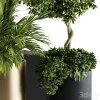 3DSky - Indoor Plant Set 90 Black and Gold - Image 2