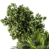 3DSky - Indoor Plant Set 90 Black and Gold - Image 3