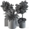 3DSky - Indoor Plant Set 90 Black and Gold - Image 4