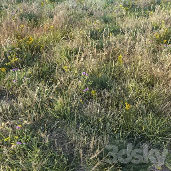 3DSky - Autumn Grass
